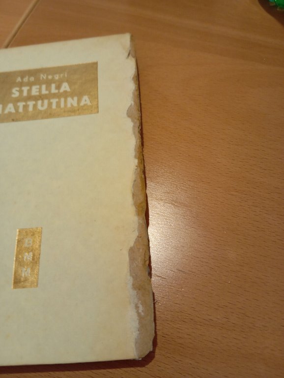 Lotto 2 libri BMM Ada Negri, Stella mattutina, Canti dell'isola …