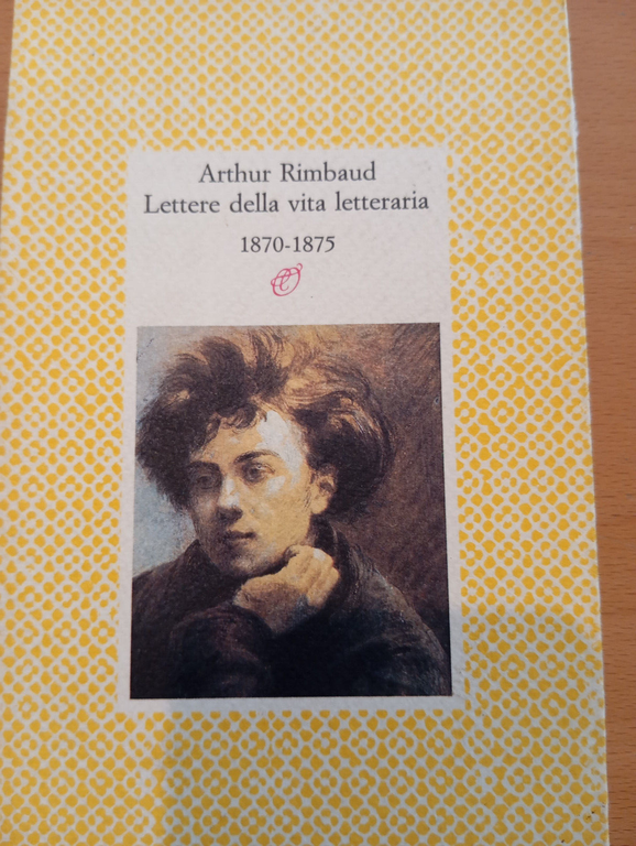 Lotto 2 libri di Arthur Rimbaud, illuminazioni, Lettere della vita …