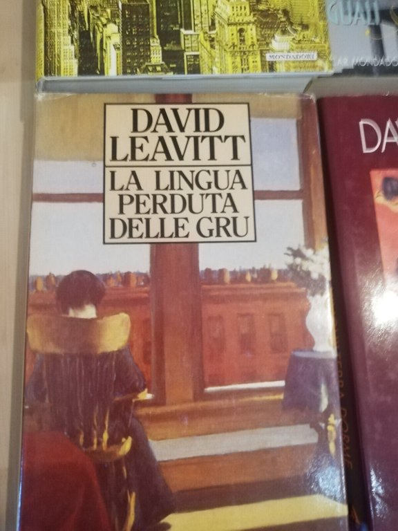 Lotto 4 libri di David Leavitt, Lingua gru Inghilterra dorme …