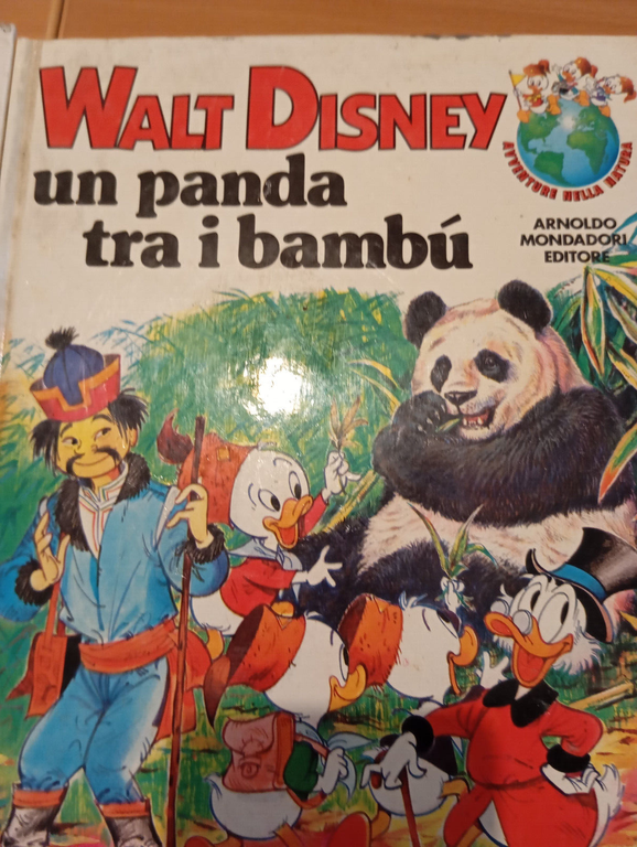 Lotto tre libri Walt Disney Viaggio dei salmoni, Panda Bambù, …