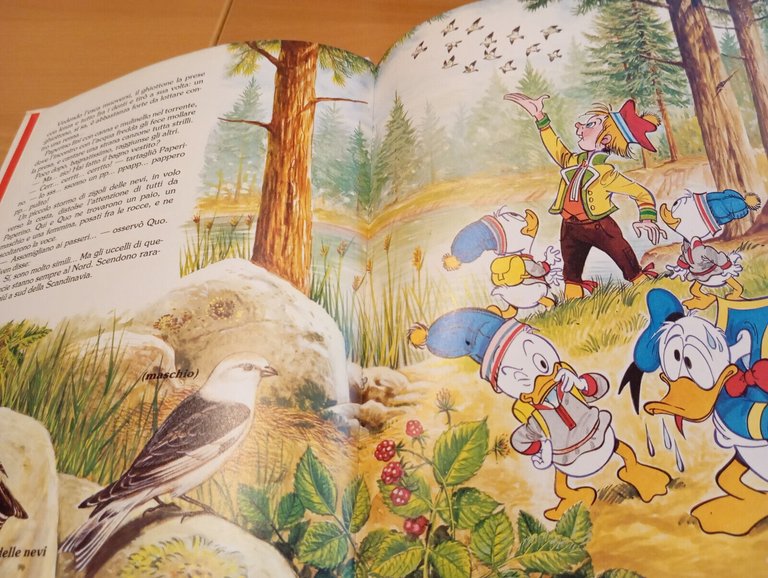 Lotto tre libri Walt Disney Viaggio dei salmoni, Panda Bamb, …