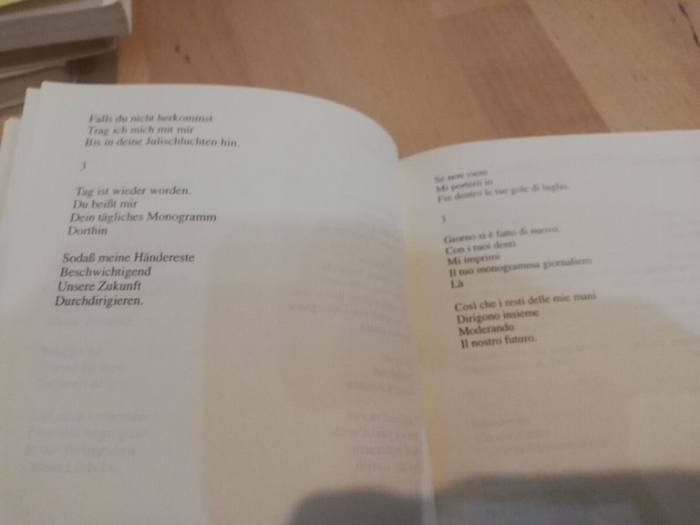 Luci lune luoghi Antologia della poesia austriaca contemporanea, 1999 MOLTO …