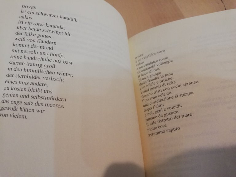 Luci lune luoghi Antologia della poesia austriaca contemporanea, 1999 MOLTO …