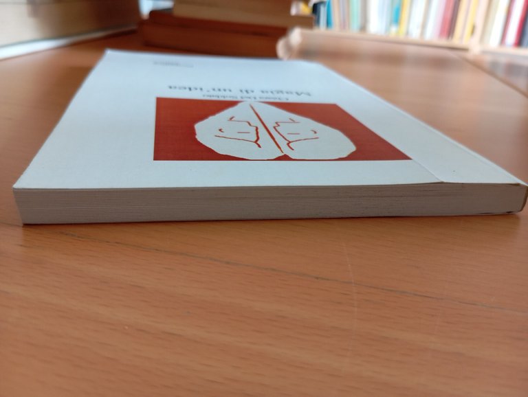 Magia di un'idea, Chiara Del Santo, Prospettiva Editrice, 2002