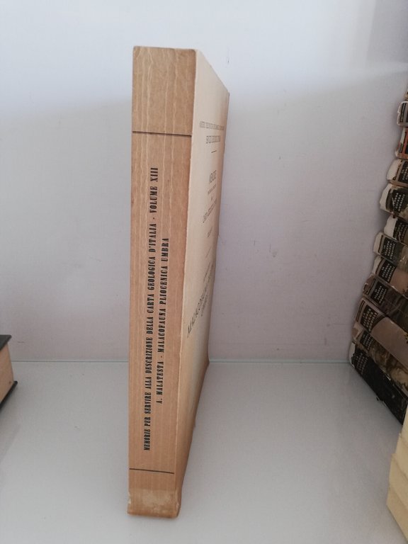 Malacofauna pliocenica umbra, A. Malatesta, 1974, Ugo Pinto | Immagine Gallery 3