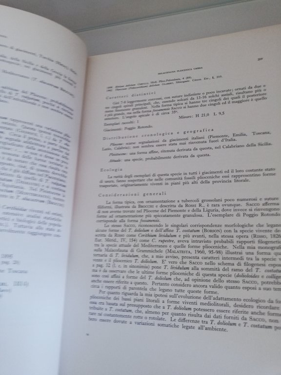 Malacofauna pliocenica umbra, A. Malatesta, 1974, Ugo Pinto | Immagine Gallery 11