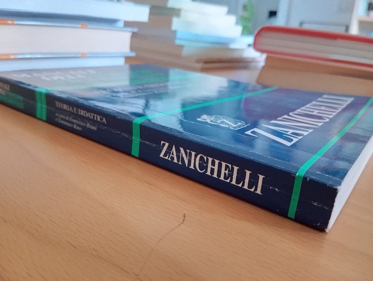 Manuale dell'Italiano professionale, teoria e didattica, F. Bruni T. Raso, …