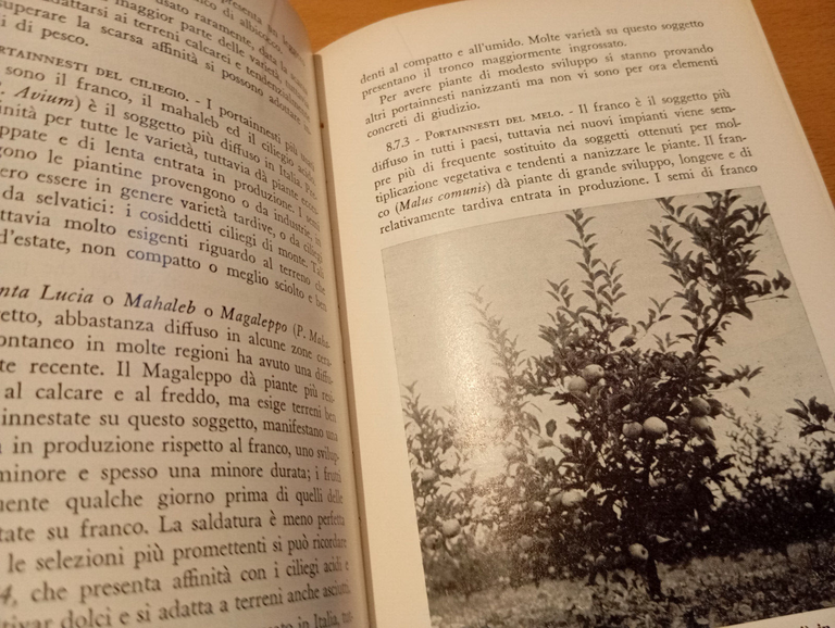 Manuale di frutticoltura, Branzanti - Ricci, Edagricole, 1981