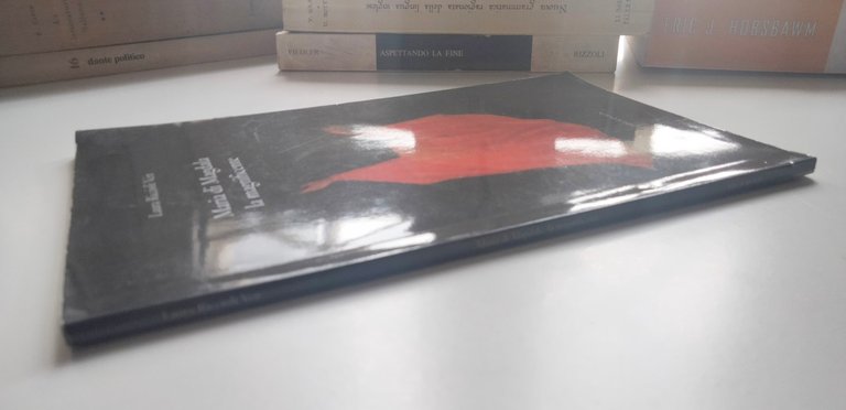 Maria di Magdala. La magnificente, Laura R. Veit, Bibliopolis, 2009