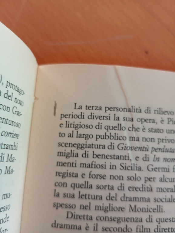 Mario Monicelli, Stefano Della Casa, Il Castoro Cinema, La Nuova …