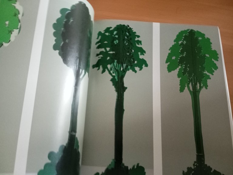 Marotta, Maurizio Calvesi, Silvana Editoriale, 2007 | Immagine Gallery 11