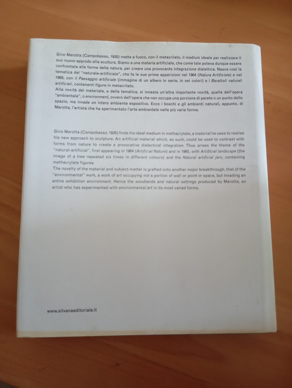 Marotta, Maurizio Calvesi, Silvana Editoriale, 2007 | Immagine Gallery 4
