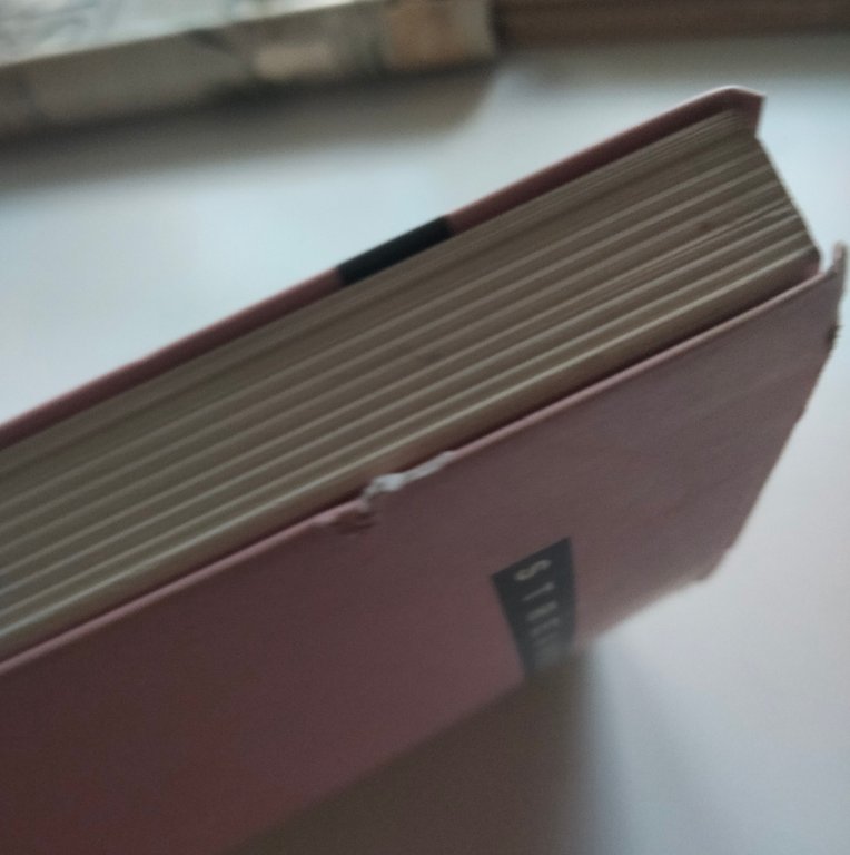 Maurizio Nichetti, un comico un attore, Nuccio Orto, 1990