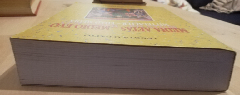 Media aetas-Medio evo, Ludovico Gatto, 1998, Monduzzi