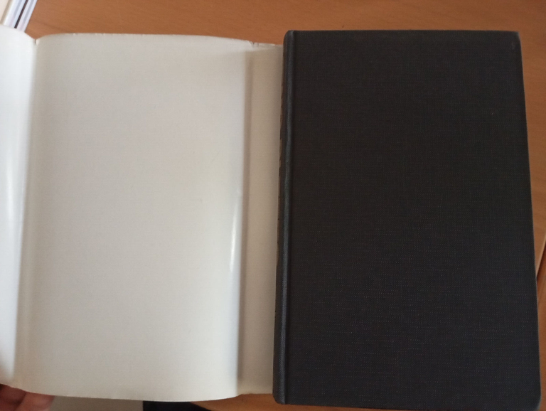 Meno di zero, Bret Easton Ellis, Tullio Pironti, 1986