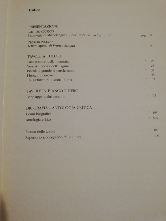 Michelangelo Cupisti, Costanzo Costantini, 2008, Italarte