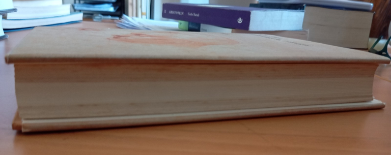 Michelangelo, i disegni, Michael Hirst, Einaudi, 1993 | Immagine Gallery 6