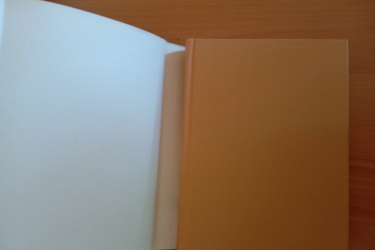 Michelangelo, i disegni, Michael Hirst, Einaudi, 1993 | Immagine Gallery 7