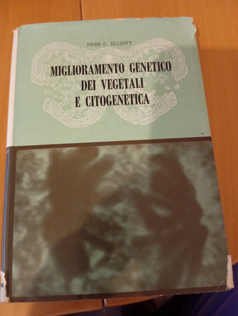 Miglioramento genetico dei vegetali e citogenetica, Fred C. Elliot, 1961