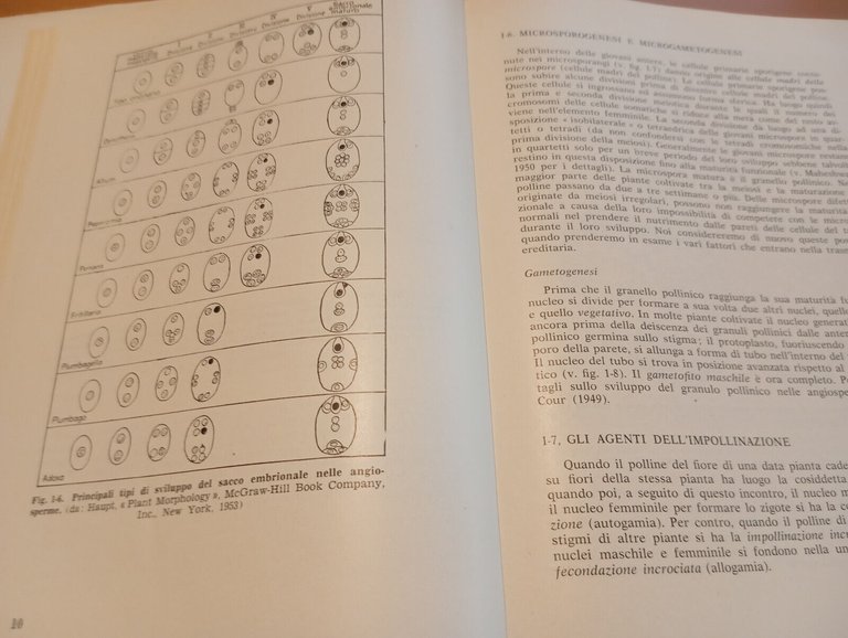 Miglioramento genetico dei vegetali e citogenetica, Fred C. Elliot, 1961