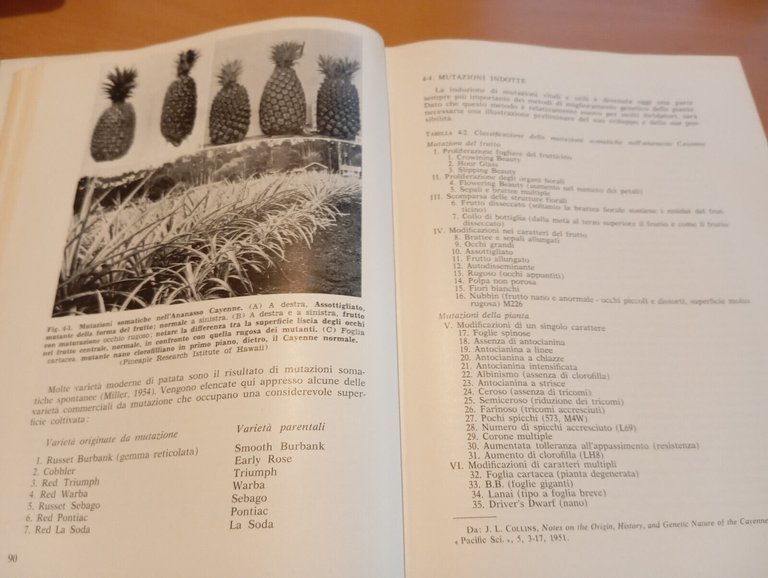 Miglioramento genetico dei vegetali e citogenetica, Fred C. Elliot, 1961