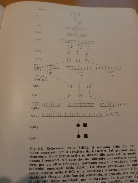 Miglioramento genetico dei vegetali e citogenetica, Fred C. Elliot, 1961