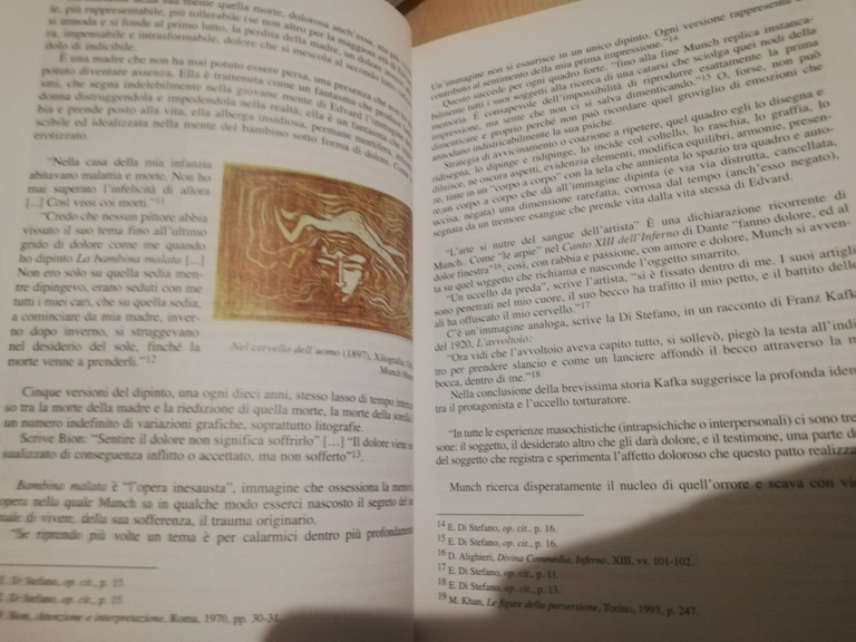 Mim fiore di cactus. Chi mi stuzzica, si pizzica, 2008, …