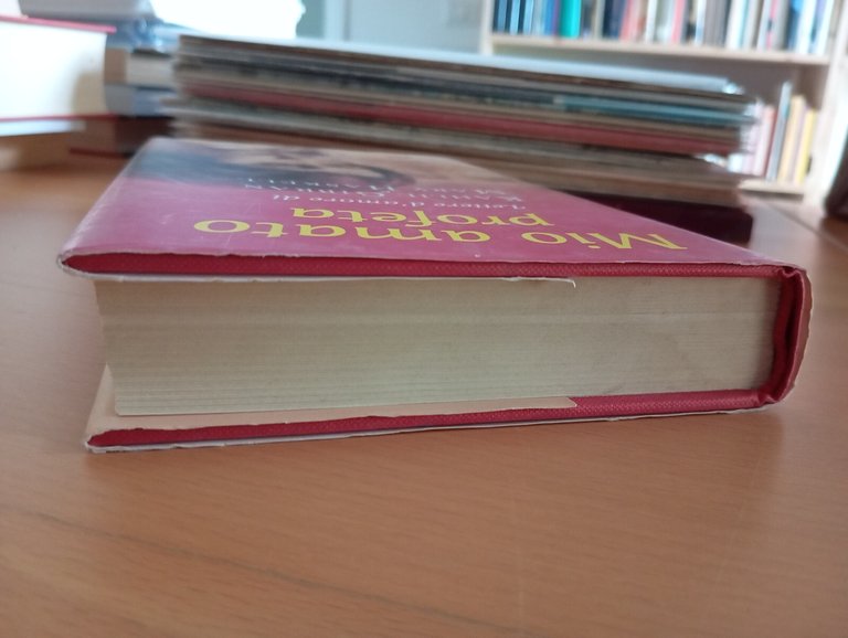 Mio amato profeta. Lettere d'amore di Kahlil Gibran e Mary …