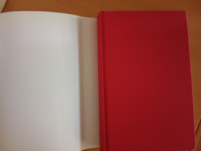 Mio amato profeta. Lettere d'amore di Kahlil Gibran e Mary …