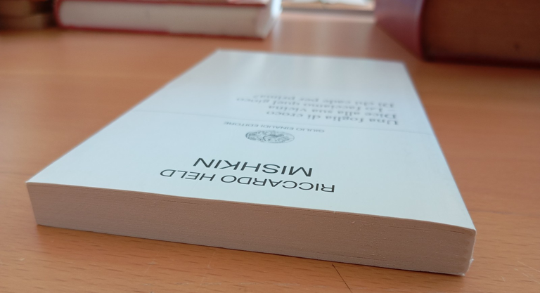 Mishkin, Riccardo Held, Einaudi, 2024 | Immagine Gallery 4