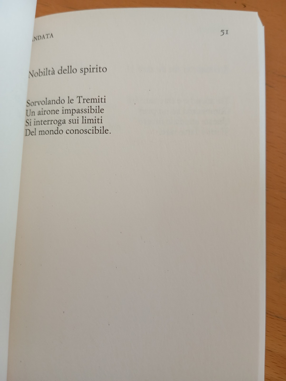 Mishkin, Riccardo Held, Einaudi, 2024 | Immagine Gallery 8