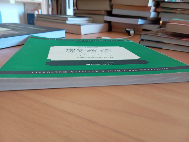 Monte Santo Sabino, Un'esperienza interdisciplinare, Giovanna Alvino, 1998