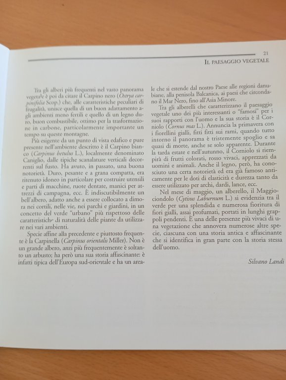 Monte Santo Sabino, Un'esperienza interdisciplinare, Giovanna Alvino, 1998