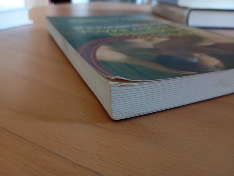 Mothers, daughters & body image, Hillary L. McBride, 2017