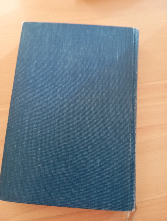 Mysterium der Sebaldusnacht, Rudolf Greinz, Leipzig 1925