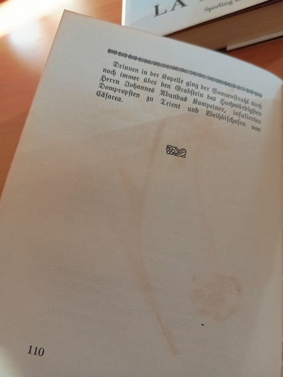 Mysterium der Sebaldusnacht, Rudolf Greinz, Leipzig 1925