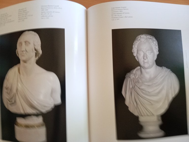 Napoleone e la Repubblica Italiana (1802-1805), Carlo Capra, Skira, 2002 | Immagine Gallery 9