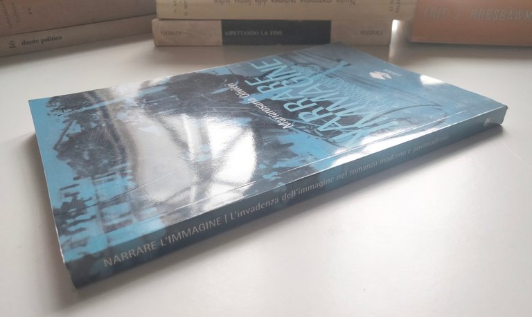 Narrare l'immagine, romanzo moderno e postmoderno, M. Olivieri, Lithos, 2006