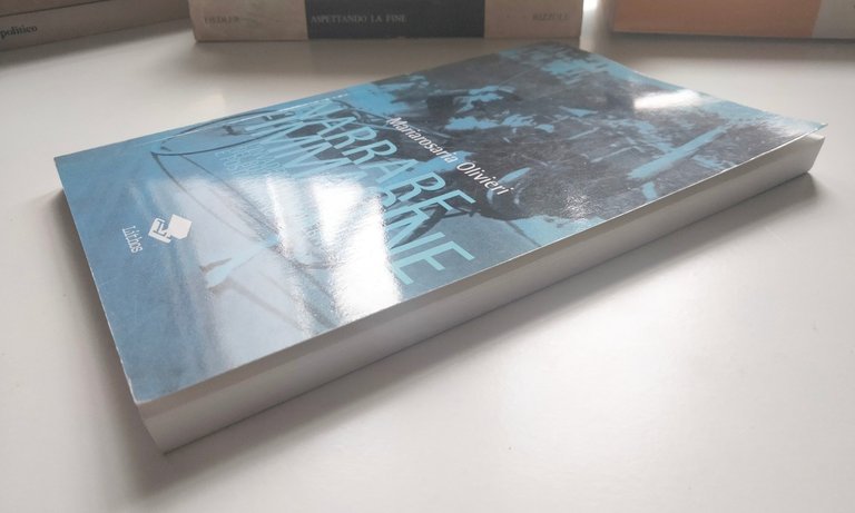 Narrare l'immagine, romanzo moderno e postmoderno, M. Olivieri, Lithos, 2006