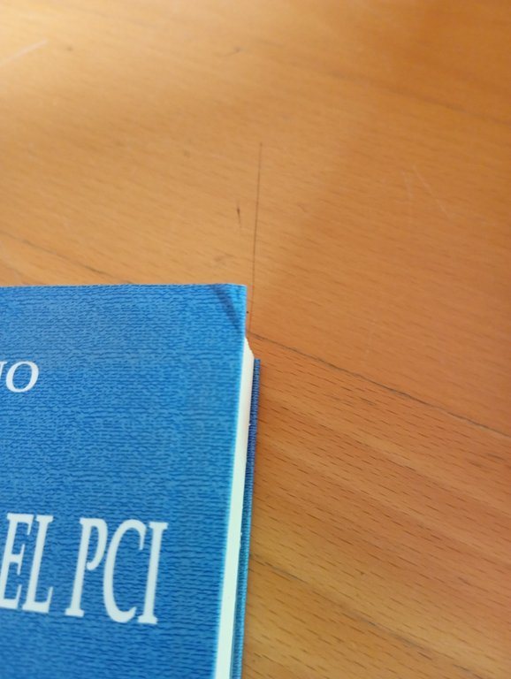 La Gladio rossa del PCI (1945-1967), Gianni Donno, Rubbettino, 2001 | Immagine Gallery 7