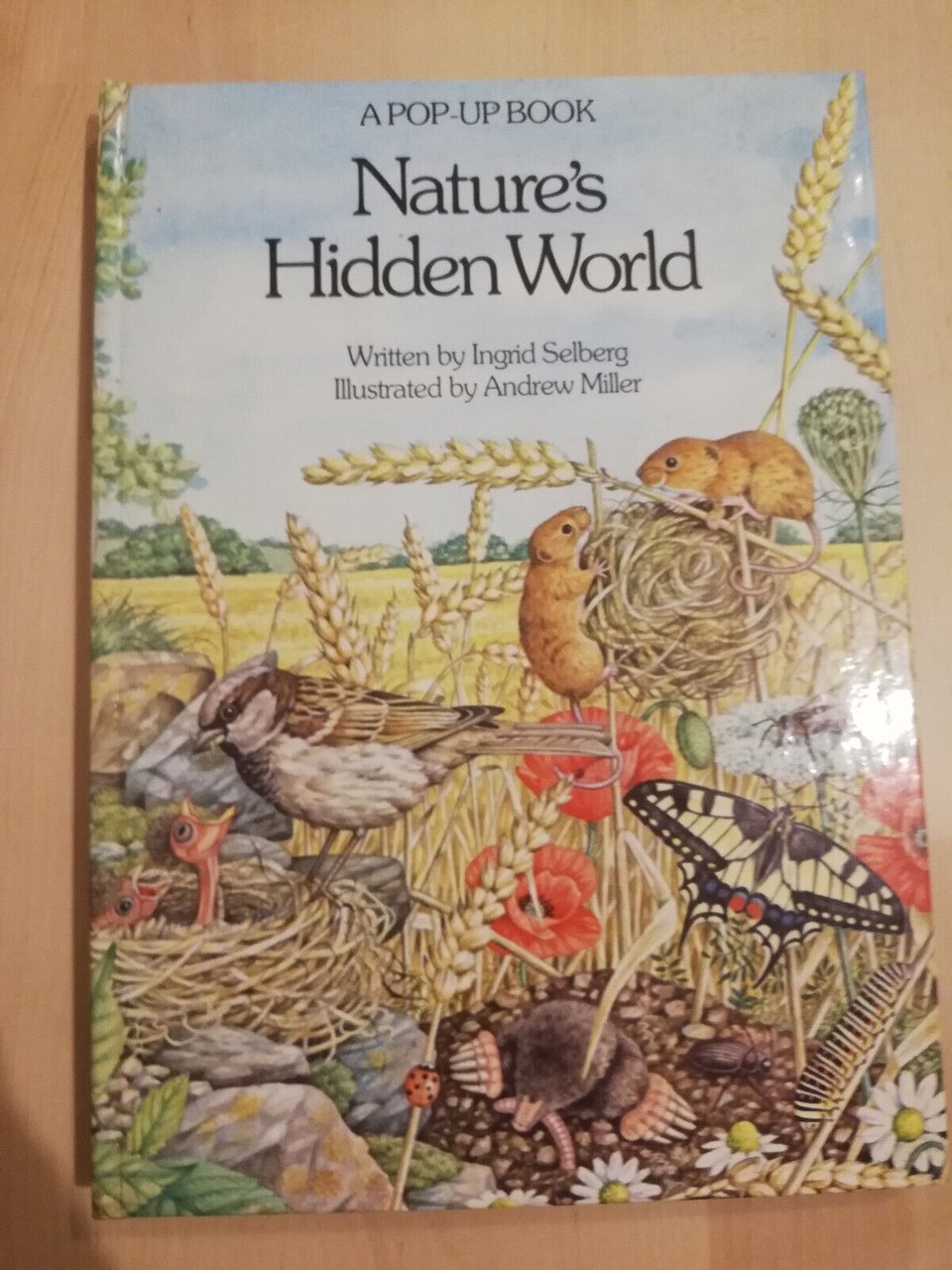 Nature's hidden world, a pop up book, Ingid Selberg, 1983