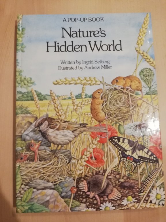 Nature's hidden world, a pop up book, Ingid Selberg, 1983 | Immagine Gallery 2