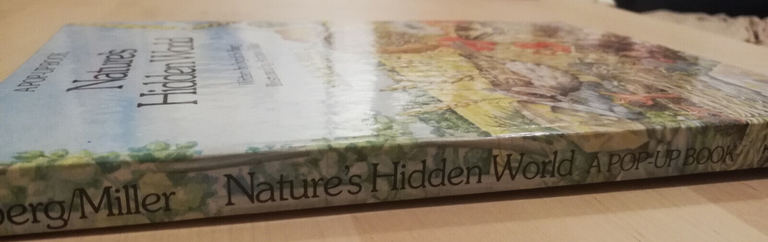 Nature's hidden world, a pop up book, Ingid Selberg, 1983