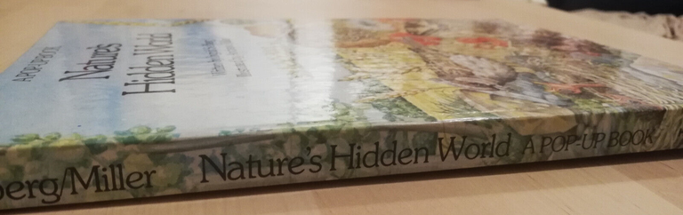 Nature's hidden world, a pop up book, Ingid Selberg, 1983 | Immagine Gallery 3