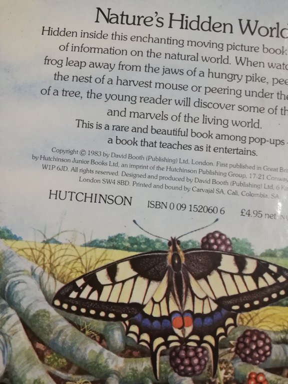 Nature's hidden world, a pop up book, Ingid Selberg, 1983 | Immagine Gallery 7