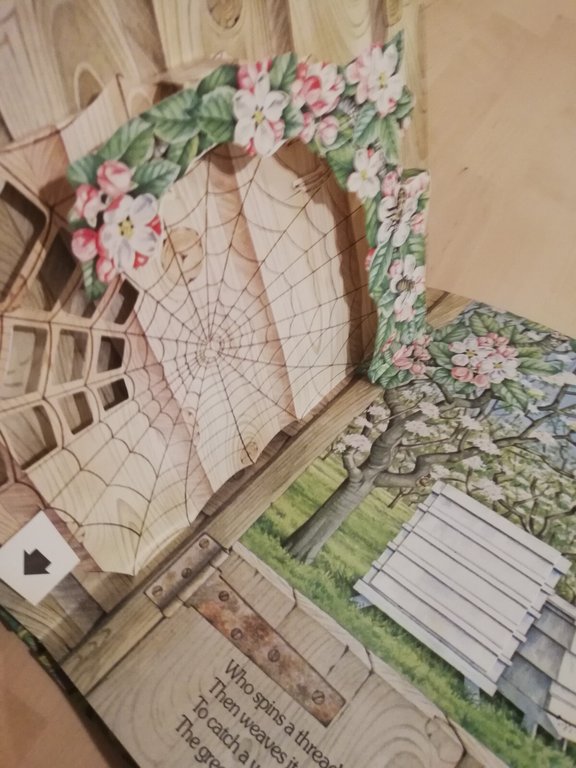 Nature's hidden world, a pop up book, Ingid Selberg, 1983 | Immagine Gallery 12