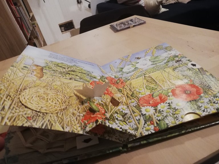 Nature's hidden world, a pop up book, Ingid Selberg, 1983