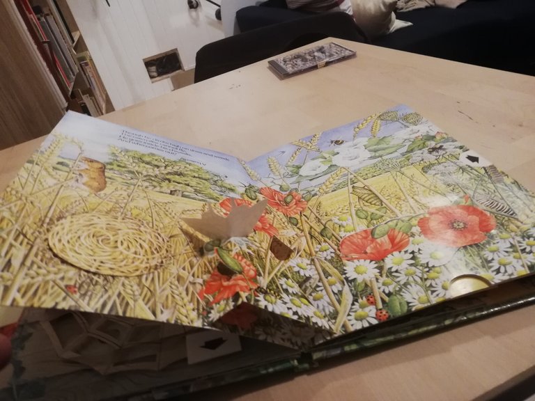 Nature's hidden world, a pop up book, Ingid Selberg, 1983 | Immagine Gallery 14