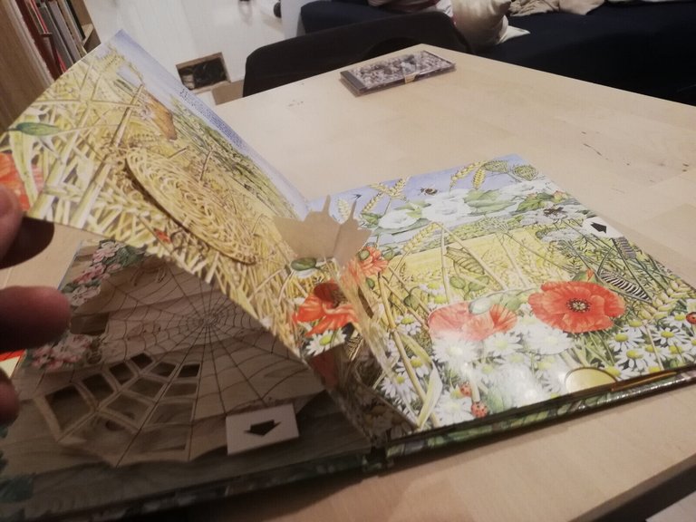 Nature's hidden world, a pop up book, Ingid Selberg, 1983