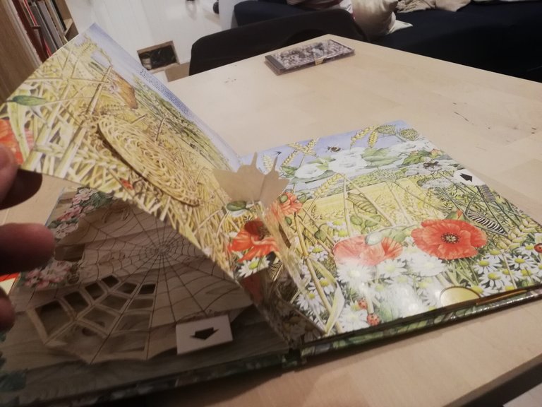 Nature's hidden world, a pop up book, Ingid Selberg, 1983 | Immagine Gallery 15